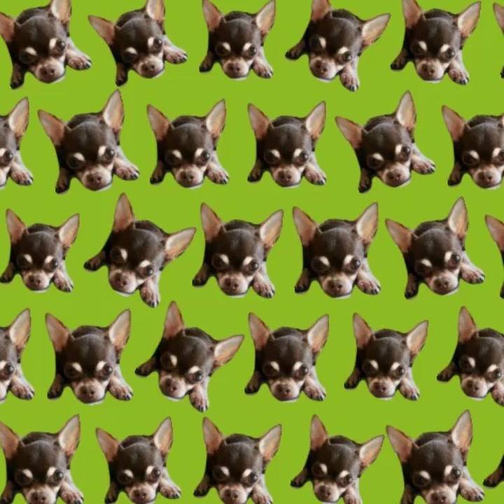 Ef55be8a 39c5 4c1a 9e47 079ec7410798 1532246247250