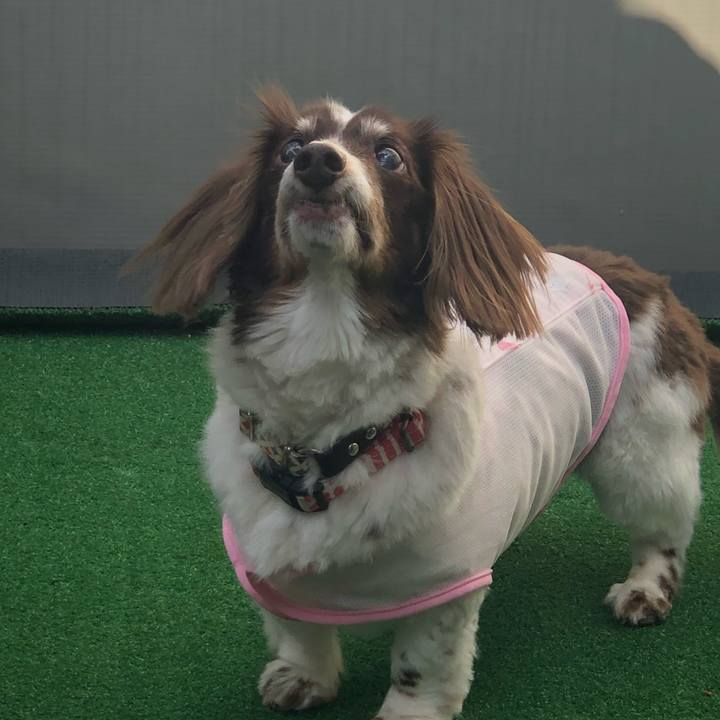 Ef55d9ef 4ecd 46ee a03a 27d79ff7c3bf 1590205741975