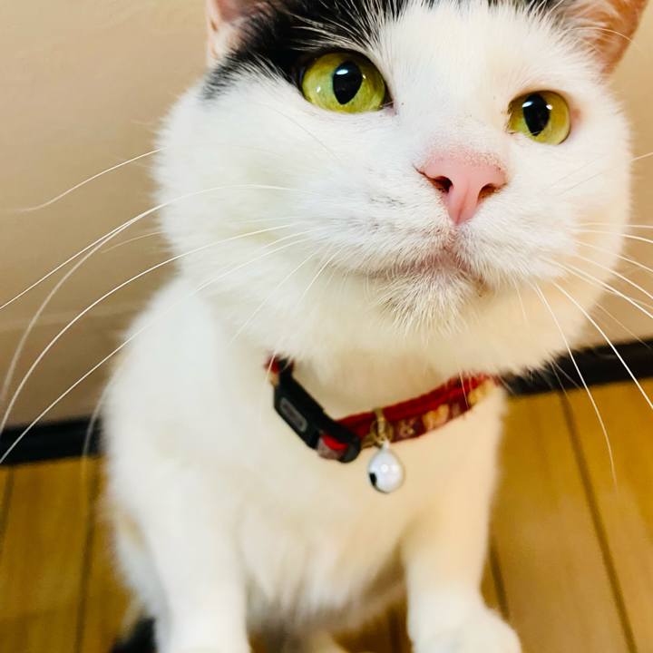 Ef56078f 2bd7 43a7 9b0b 8e5b2e9b87ba 1685799667219