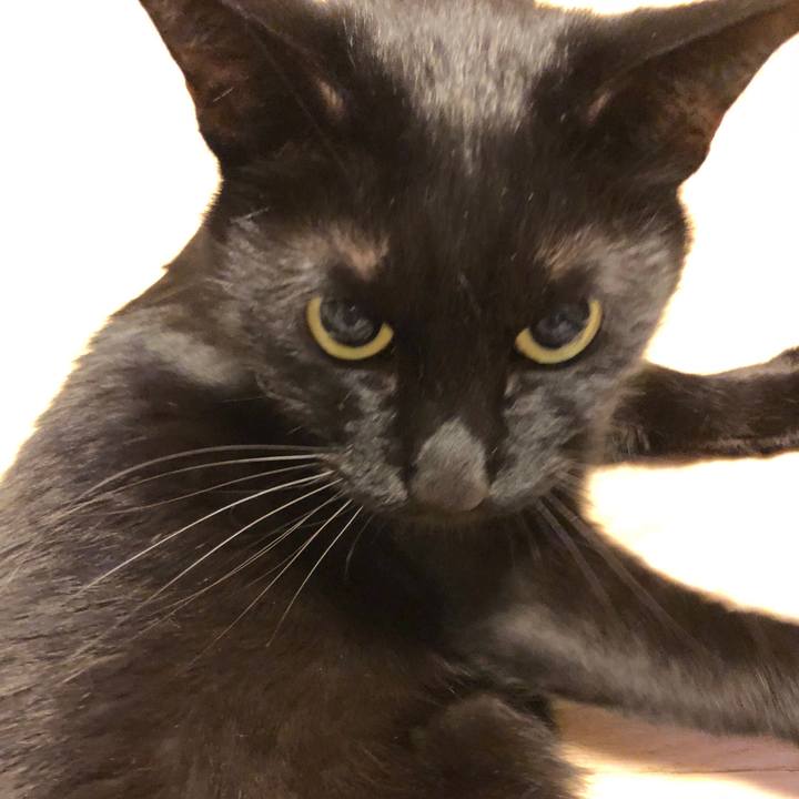 Ef5620a5 d5e1 459f bff8 466c098c948e 1519393222852