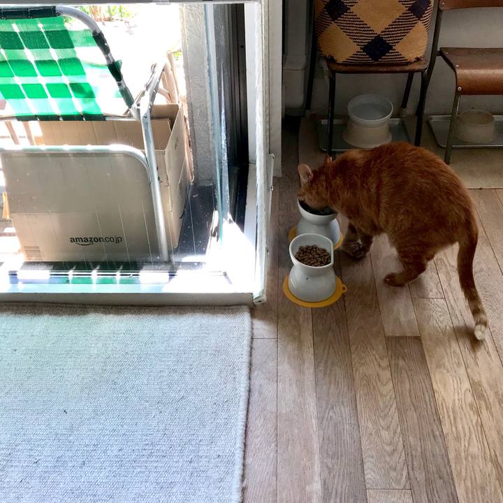 Ef562a8c 176d 4d3c 8e36 86996d8555cd 1554263417854