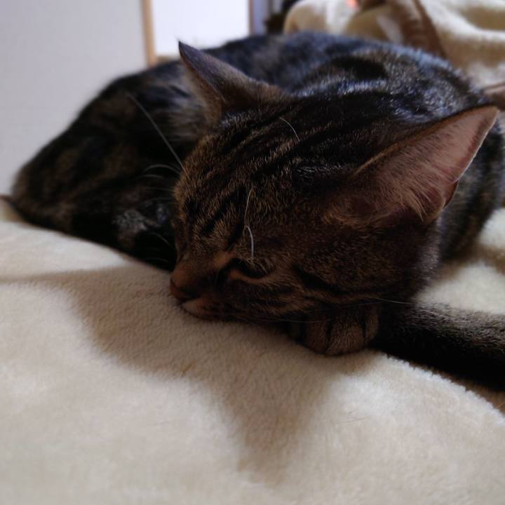 Ef564ad1 3549 4020 b887 c7d8ad3fdafe 1608419153115