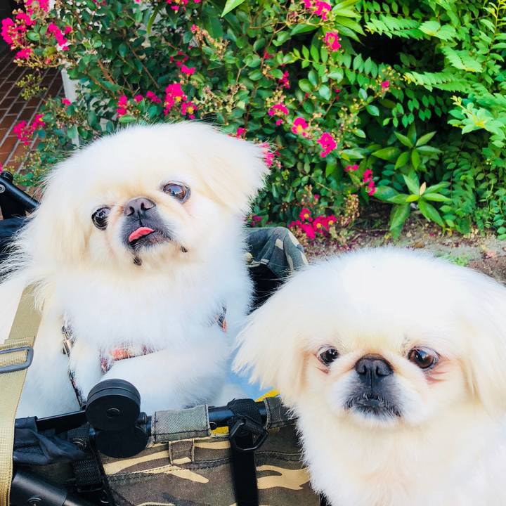 Ef56554b 4d37 4473 8527 0fee864ed87f 1598656986206