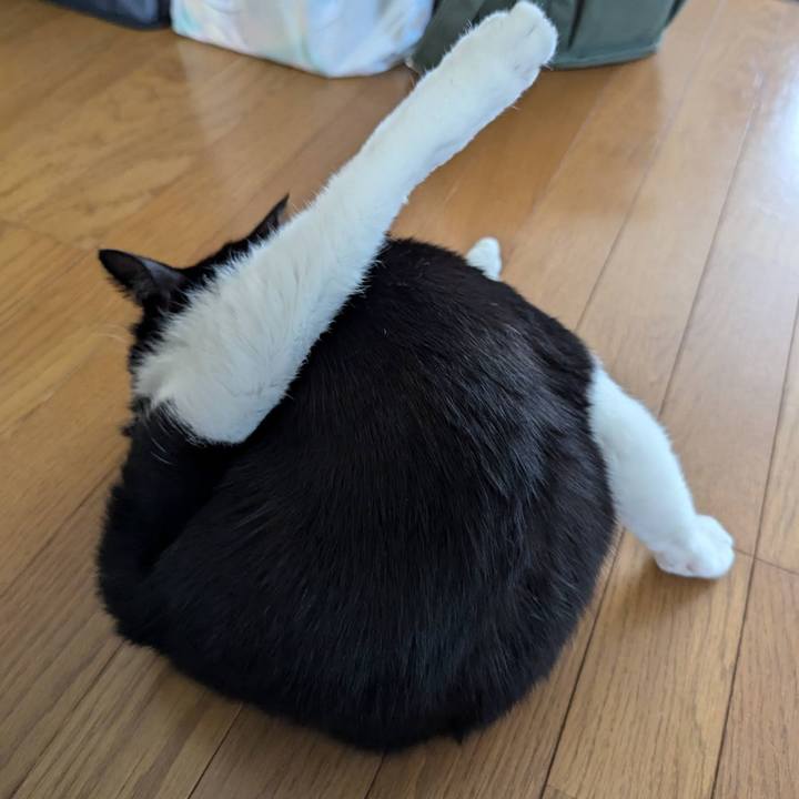 Ef566449 2b07 4e5e 84f5 967a0d2a48bf 1726210471011