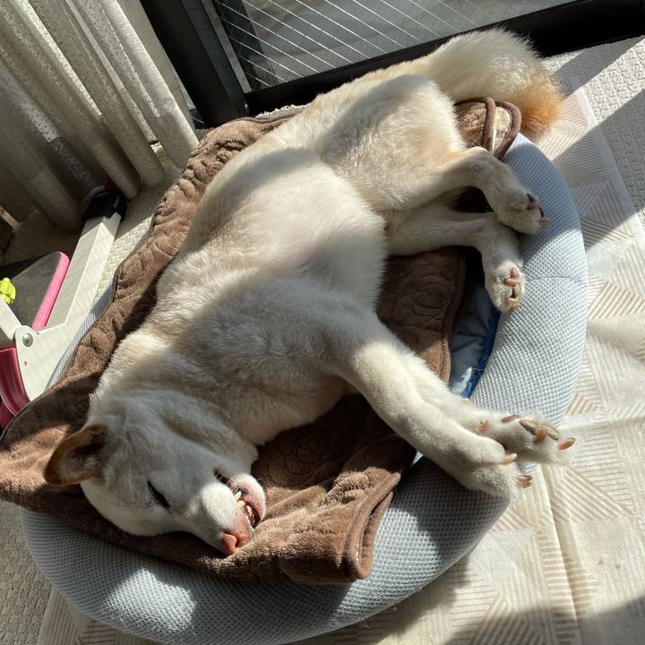 Ef56898a c94e 4630 be89 dea68aabb694 1638597955798