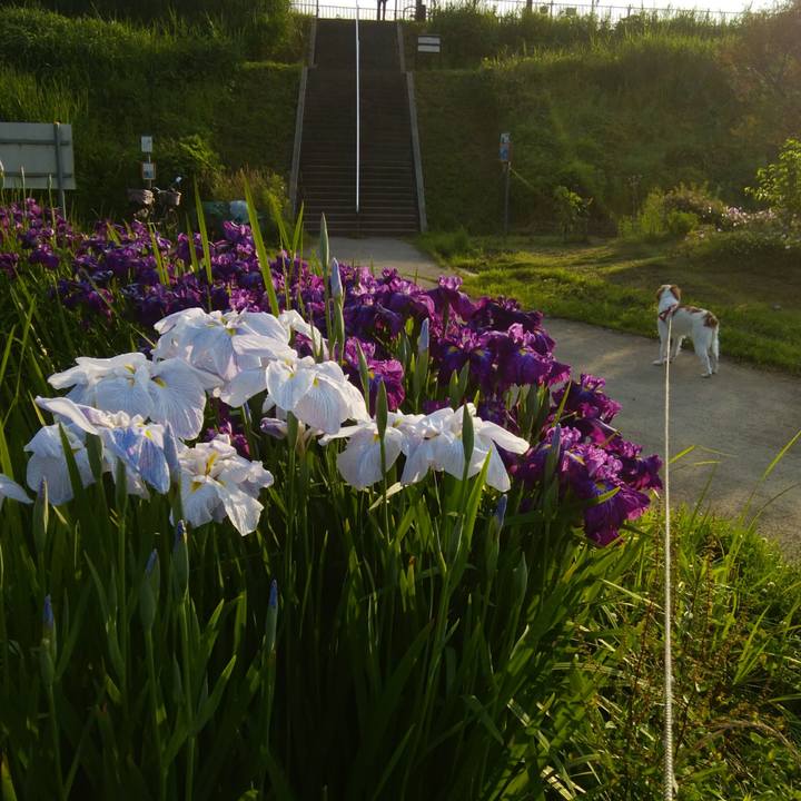 Ef5698f1 c2ba 437d 9842 7db63ee15e3c 1528025746278