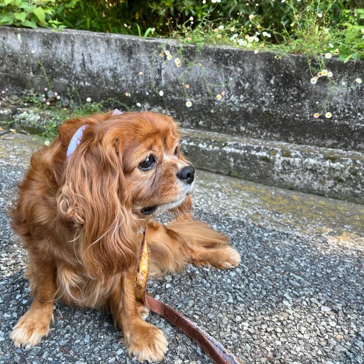 Ef56b33f ff1f 478f 8756 8448ee1ad419 1685836756105