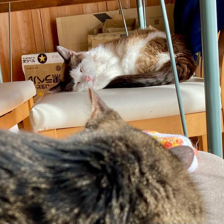 Ef5702e8 1199 4170 b62f d9d165be27dc 1677565260208