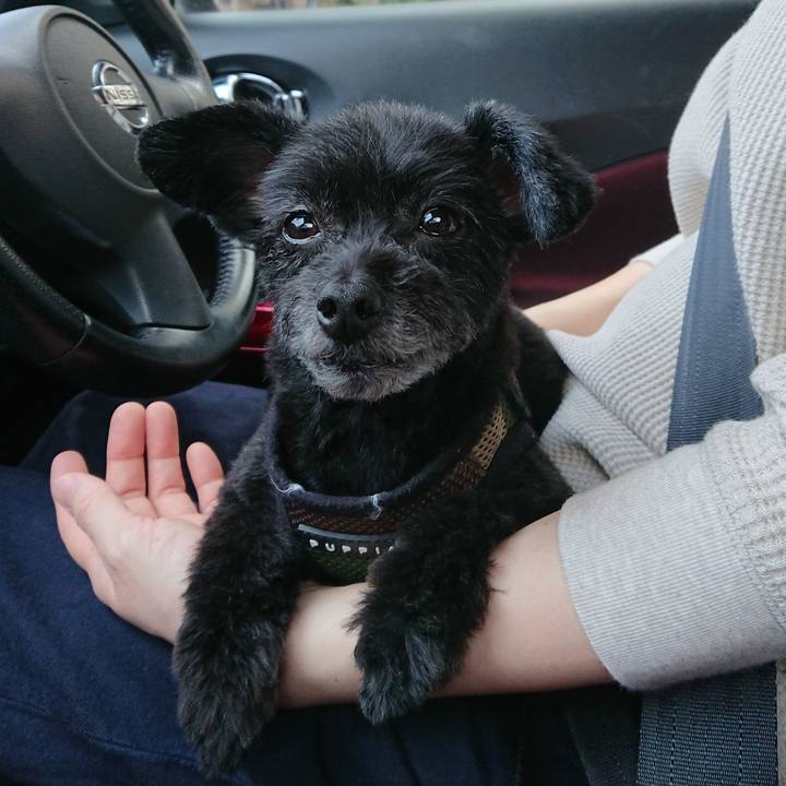 Ef571161 5898 435e b7f6 362075074b3d 1555831349356