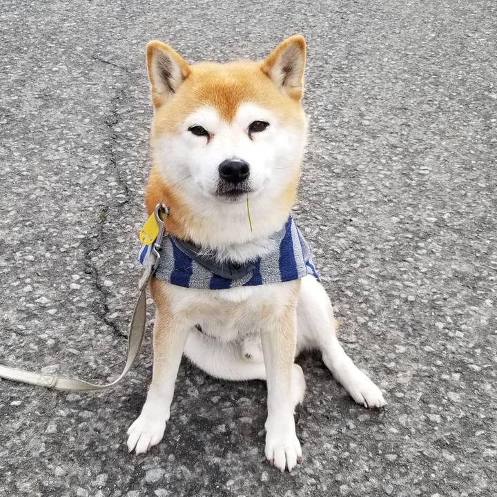 Ef5721a3 e8cf 4370 87d8 5eeece217ef8 1580875574642