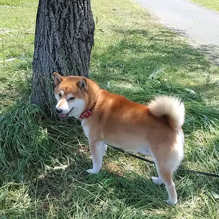 Ef5747cc 63a2 49a0 96d5 5a11354b694a 1620378667454