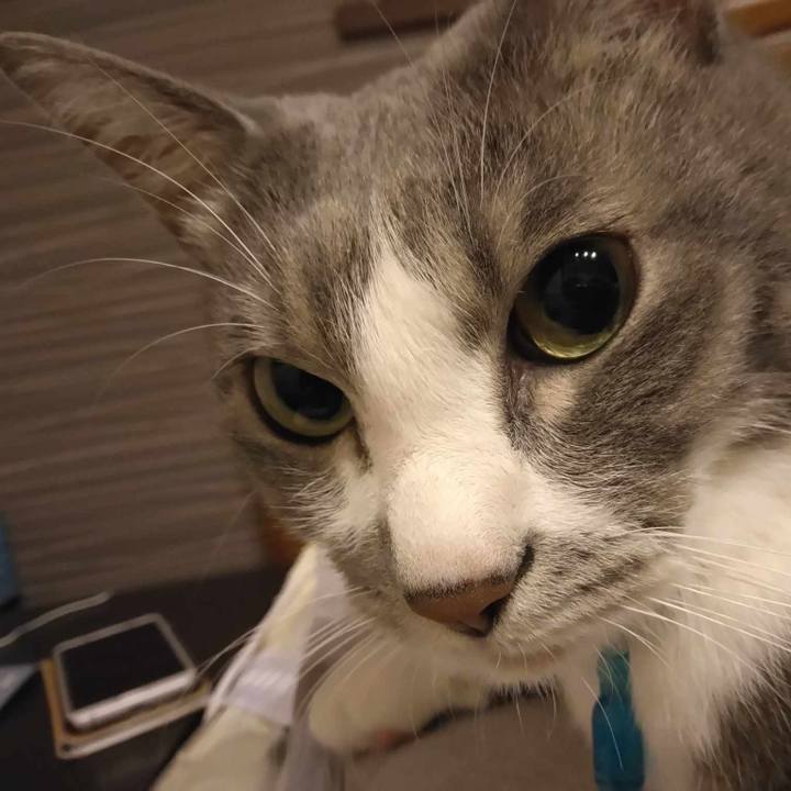 Ef576894 5809 4d22 abf7 0bb1adadd253 1694440425011