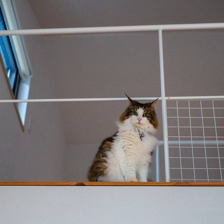 Ef576b11 82c9 4b32 945a 81fca7dcf8df 1716633902295