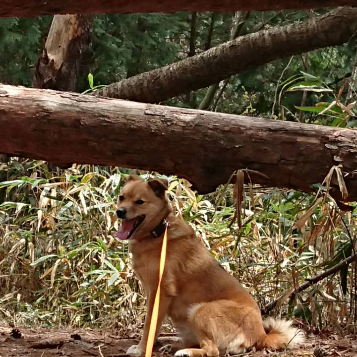 Ef580a78 e353 4a4c a64a c3f15c57ac48 1619180818188