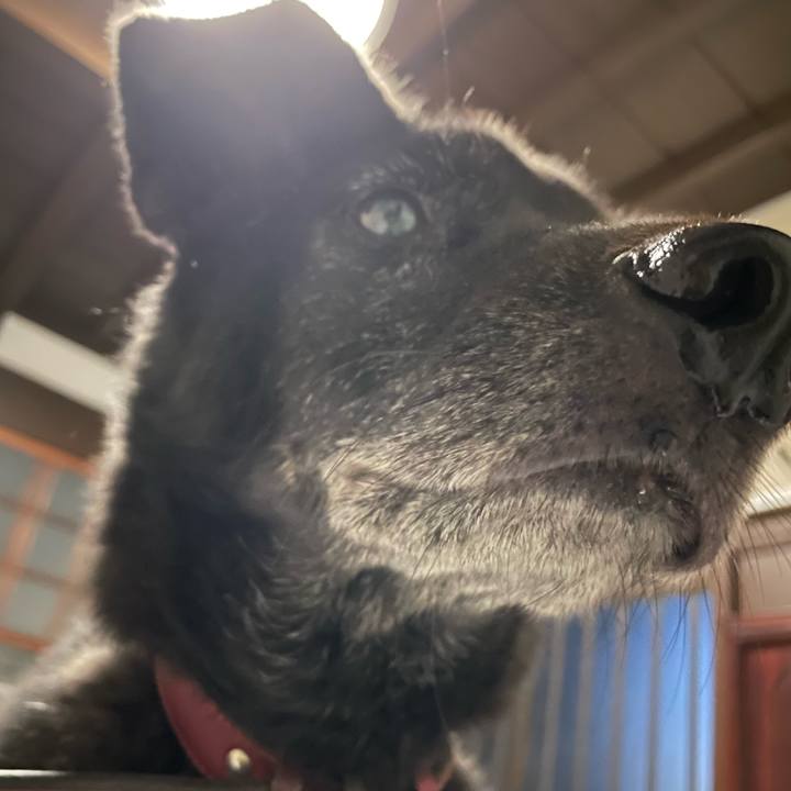 Ef5813ea a860 4bf2 9aae 9f22aa8dc848 1665864810013