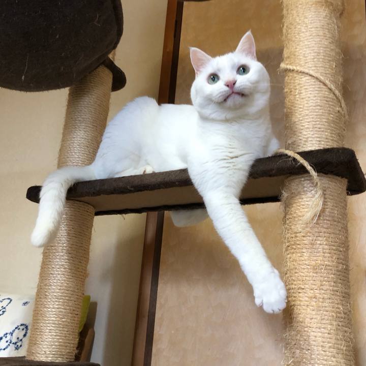 Ef583bf5 4ce5 4397 9ff1 afc764e74b35 1633835196429