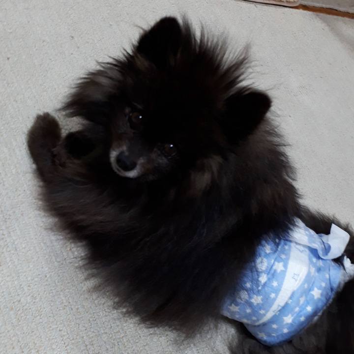 Ef586c8f 3c02 4eac a11d b0016860c15e 1518374431617