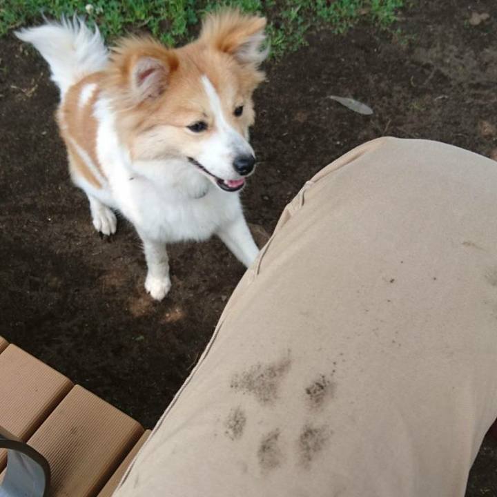 Ef587a9a f58e 40bb 9db1 ad957e91ecd6 1579260172813