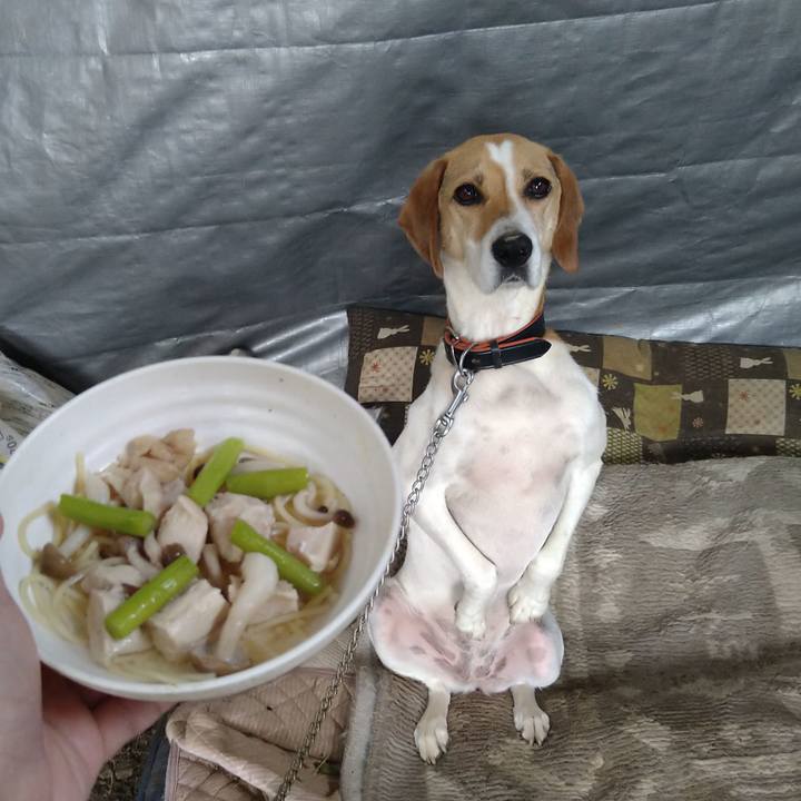 Ef589ab9 97f7 4571 9512 07058ad9bb16 1626246454840