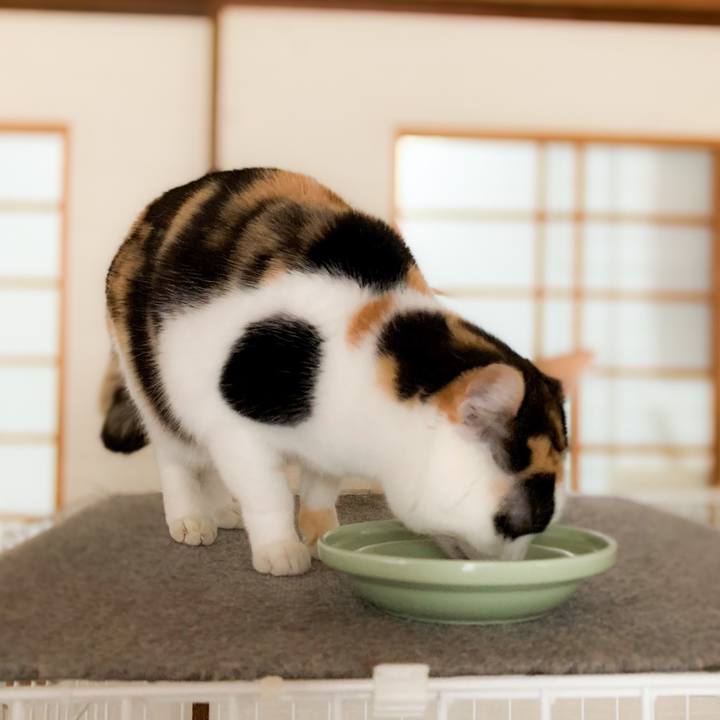 Ef58b6af 6a85 4103 ae87 16581482a215 1587267643671