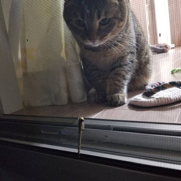 Ef58c737 4da0 4871 ad65 472ac1fb1abb 1602499236525