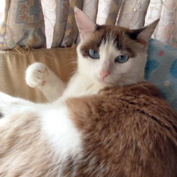 Ef58c7bd 109e 40b6 b02c 4076daa62e00 1540044419466