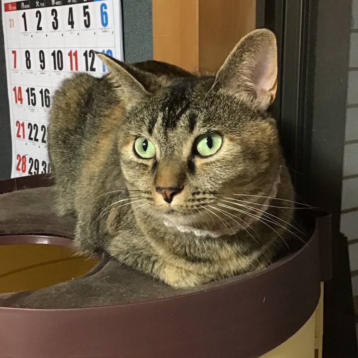 Ef592276 553c 4728 8b53 8612ac9231b9 1661945442750