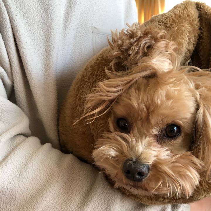 Ef5925ce faeb 4fa8 942d 8bae0fa13e10 1642204087768