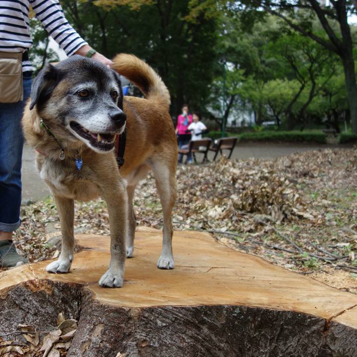 Ef5942ee a5f3 4880 a9ab 07d646593fbc 1538962350524