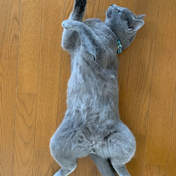 Ef5954b6 8ac9 4c89 bf49 9e18fa392cd7 1587428042249