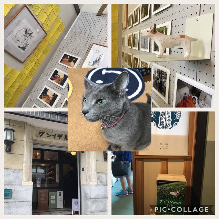 Ef59579d e495 42ea 871f 4812edc4cc4e 1524639987166