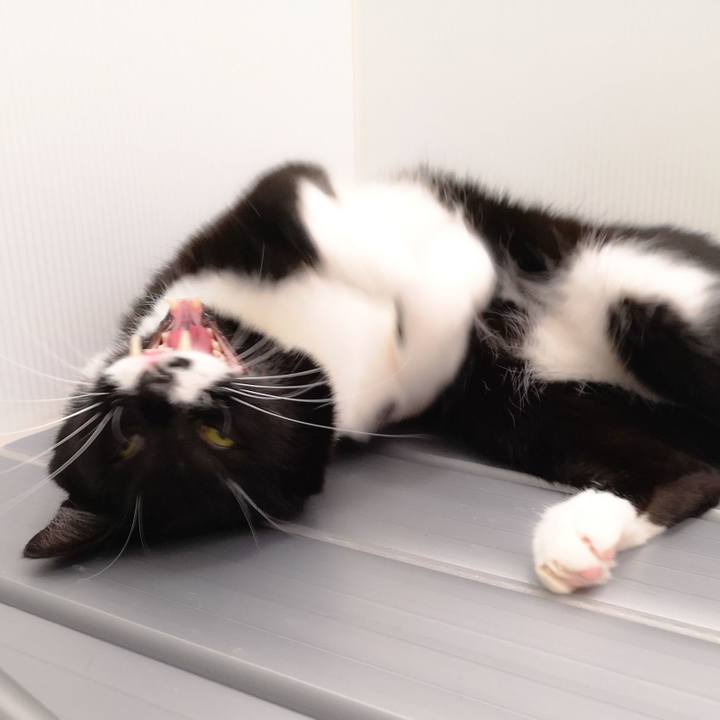 Ef59668e b785 44e2 84e9 eb4fa08fa9e6 1543857763249