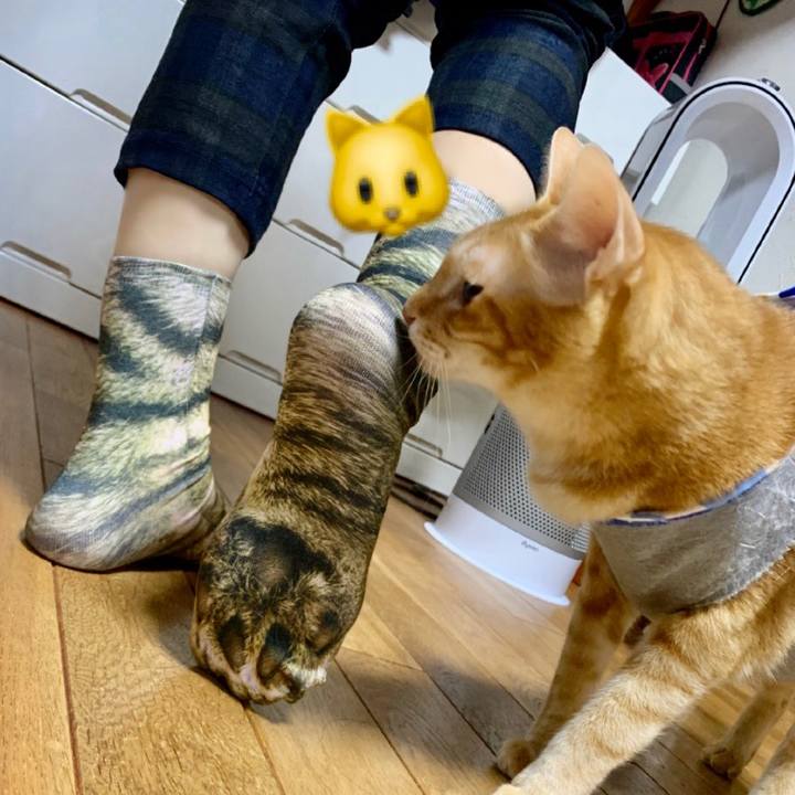 Ef597812 0080 4655 9442 92b83dda4c80 1574602241650