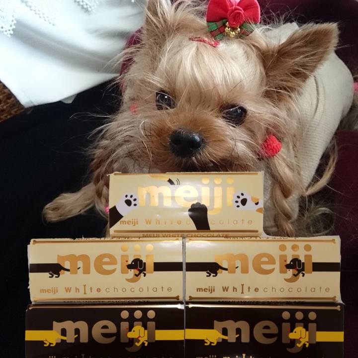 Ef598c34 c9cb 41d6 94f4 2159abce21a8 1580910398045