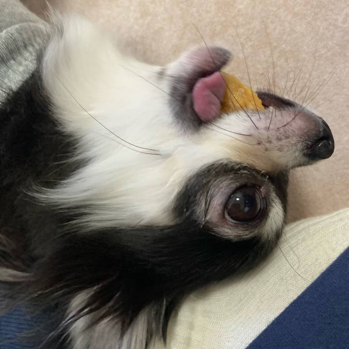 Ef59a262 d0a1 4617 8697 c47a664caa45 1638680796124