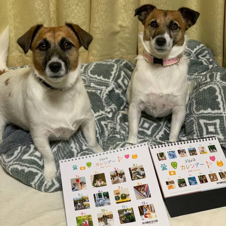 Ef59ae06 a6a3 41b5 a756 2c579dd63df9 1575203982398