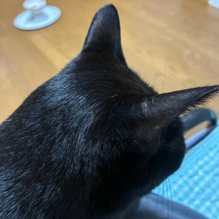 Ef59c4a3 0490 4d2c a43e 57cf3a2d93c6 1754659309754