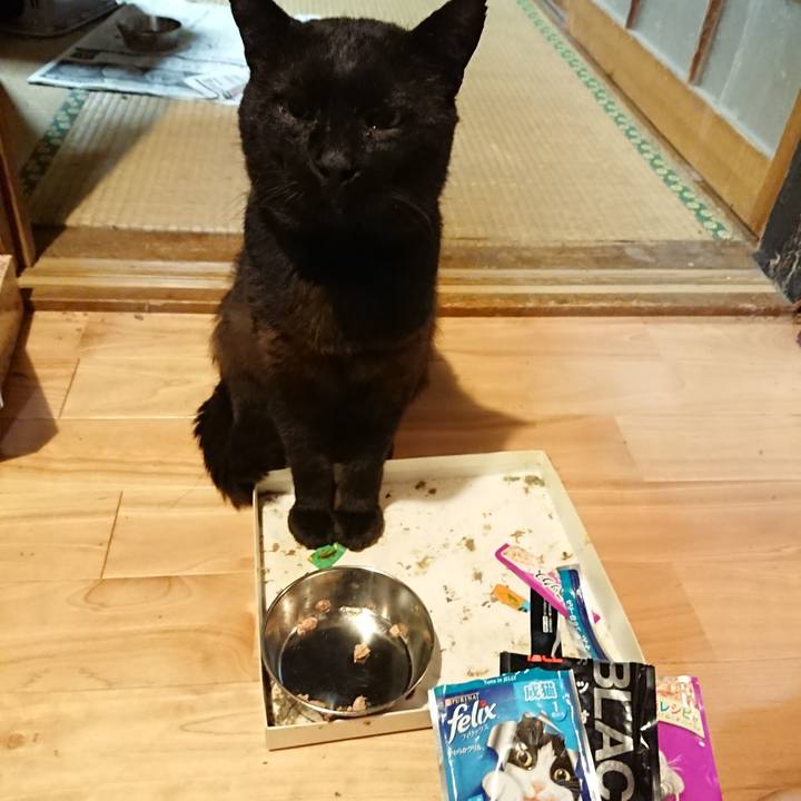 Ef59d673 9468 48ff 82df d8685c4c0f2a 1625574306639