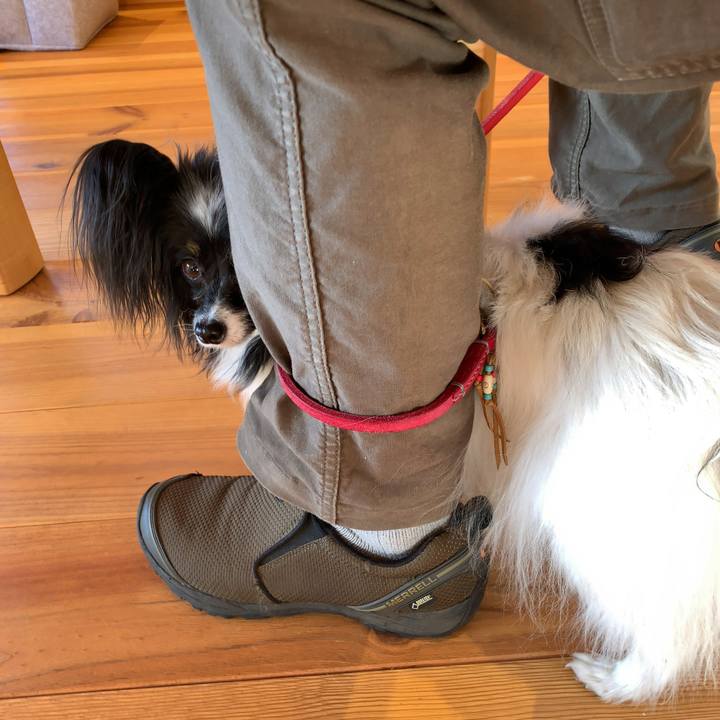 Ef59f991 11f7 473b ba11 6234264a090d 1553416115715