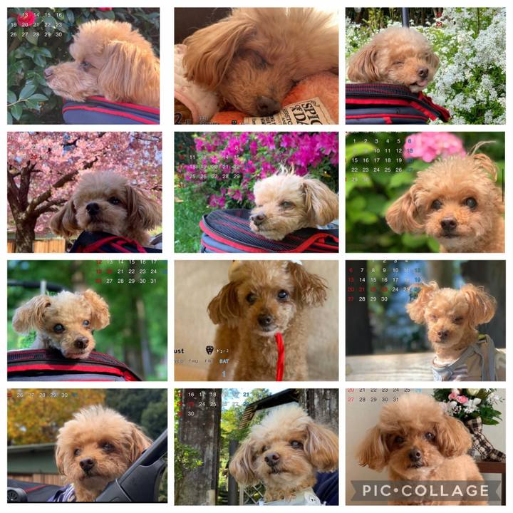 Ef5a02c1 13df 43fa 846e ac9d13c53702 1764284580424