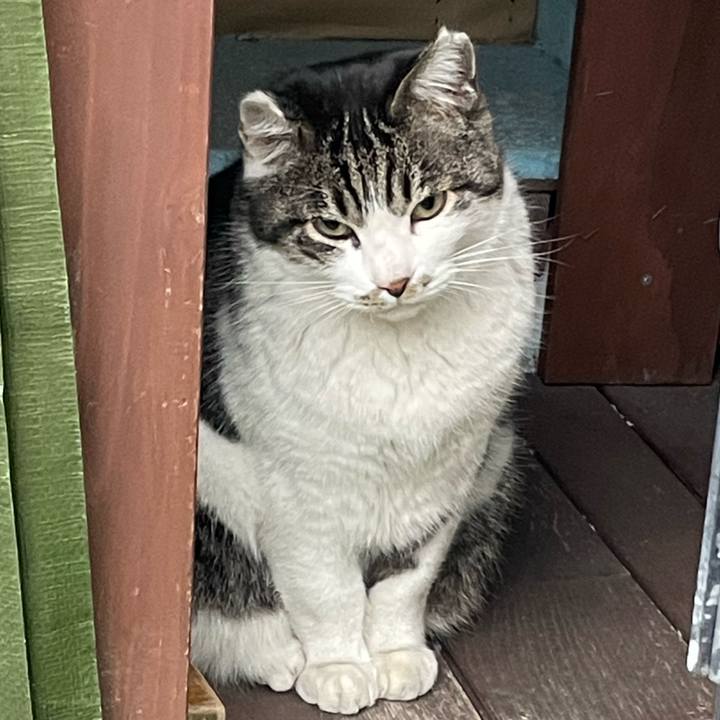 Ef5a1bea 8eb6 4c2d a644 399763bd8fa9 1641808932318