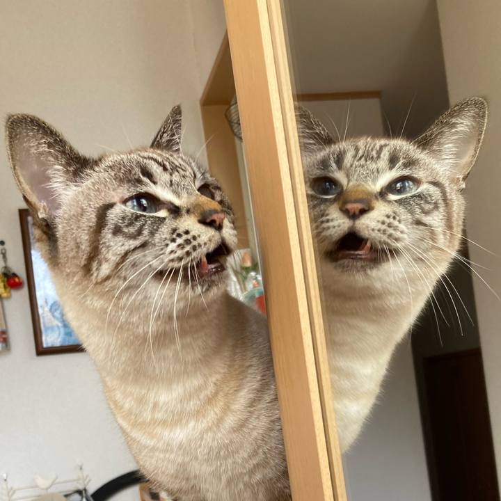 Ef5a2885 7823 4c18 af60 938e4119cd17 1771139733543