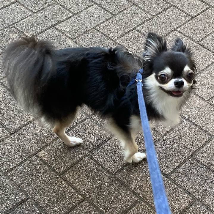 Ef5a2dc0 9e23 456d 9daa 9c8264c6e12f 1663411354075