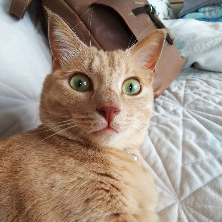 Ef5a505c 23ac 4d14 b3cc 5c8ef7f8a827 1627512307486