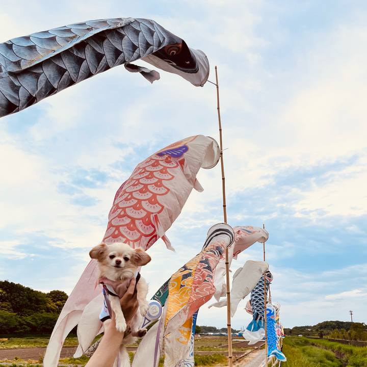 Ef5a842b d104 492d 9dc2 d63ace878db2 1682910896192