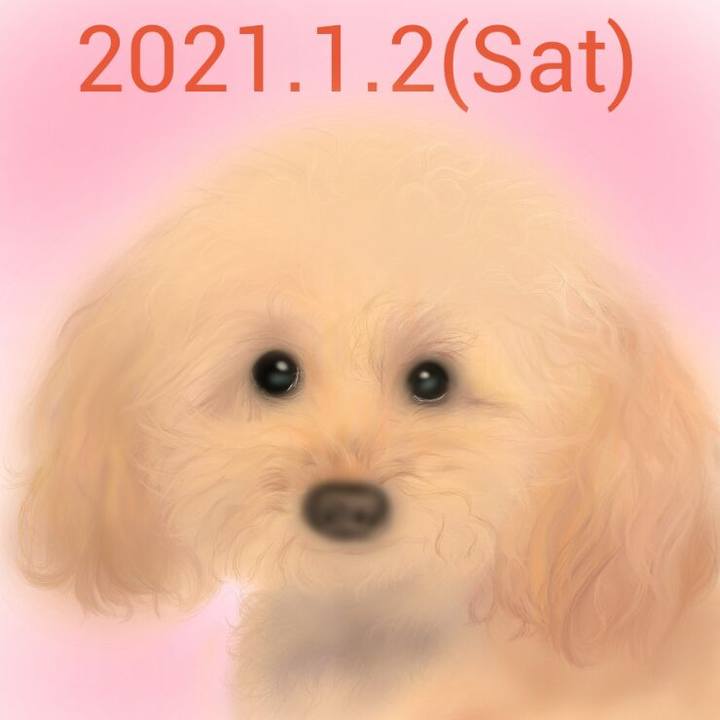 Ef5aa602 1177 4e52 9b78 3dca4988cf94 1609591017116