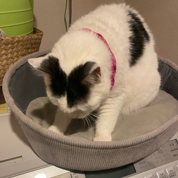 Ef5aaede e09b 4506 9d53 98d127aa4c38 1767963702033