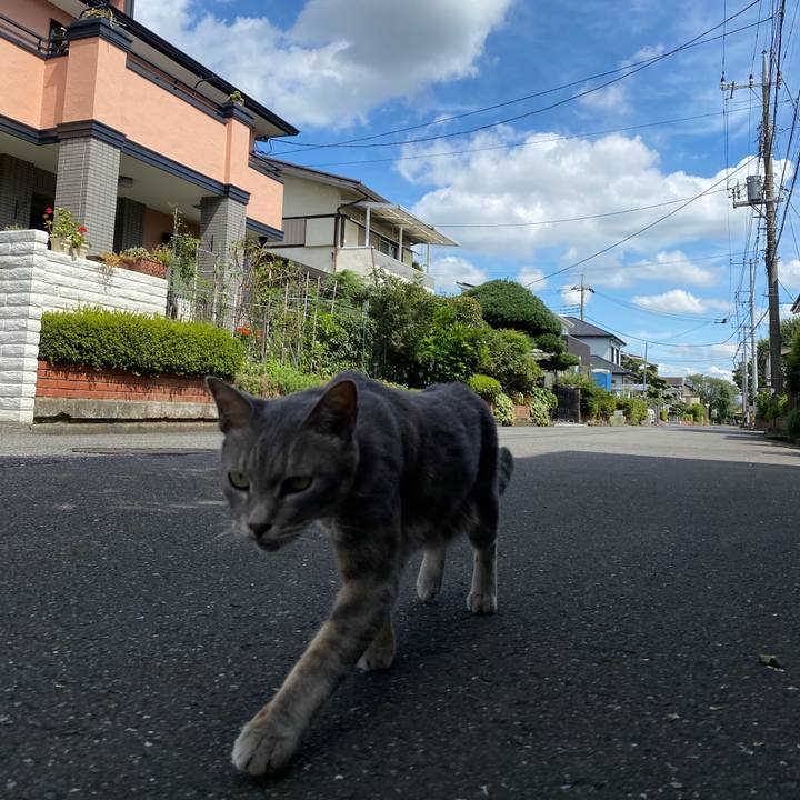 Ef5ac6ed 2724 46df 820c fd1b2fda813c 1600240131466