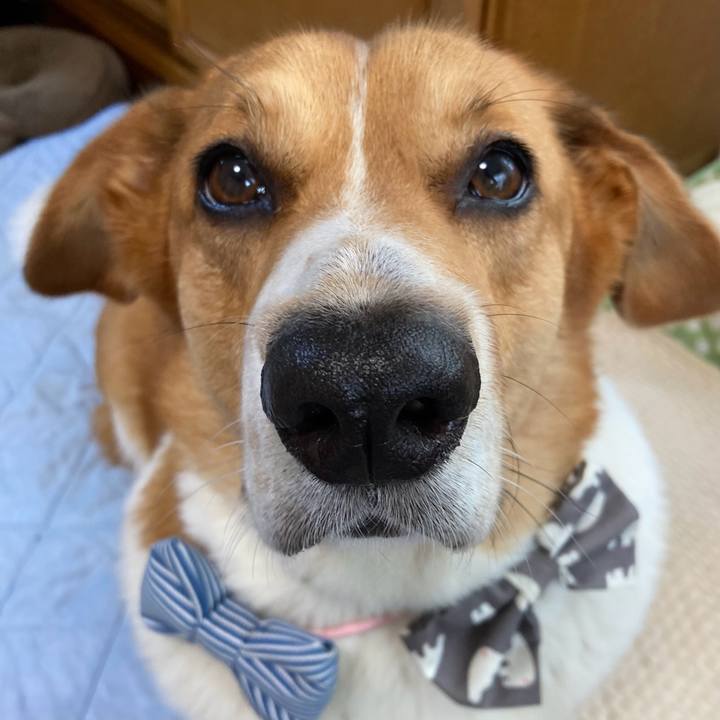 Ef5ad496 c61a 4103 bc3c befcc13455bf 1722039368096