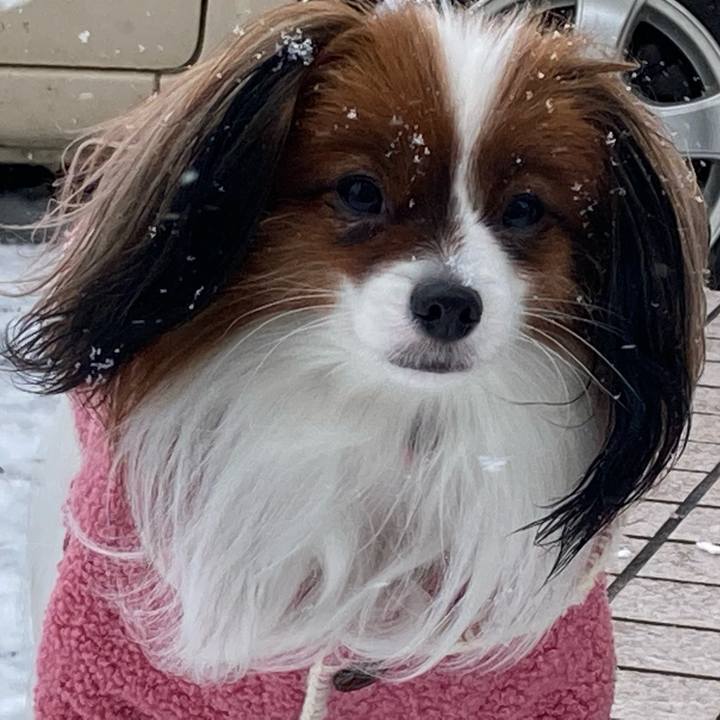 Ef5b17c1 3940 4d24 aeb1 36ea72d7371d 1642048170818